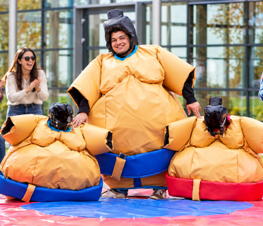 sumo