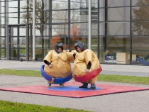 teloeken-event-gmbh-wettbewerb-sumo2